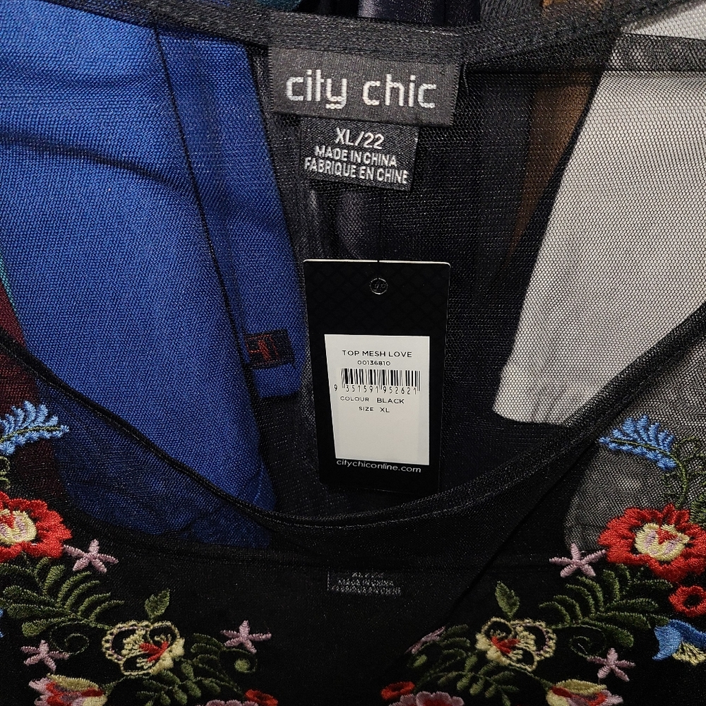 🎉4xHP🎉 NWT City Chic Love Mesh Floral Embroidered Top Set XL/22 - Picture 4 of 5